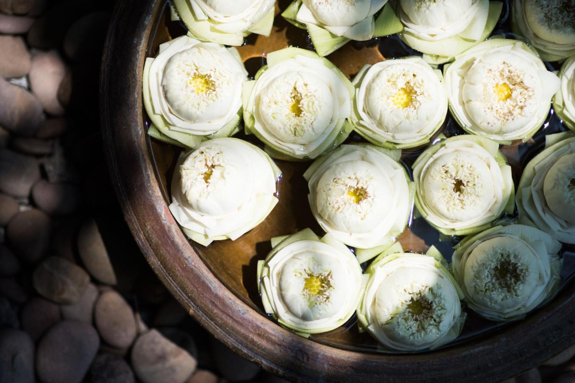 Sheraton Grande Sukhumvit, A Luxury Collection Hotel, Bangkok Exterior photo White lotus flowers